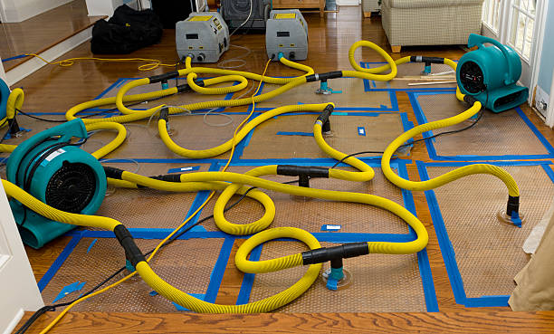 Professional Basement Flood Cleanup technician working in Allyn, WA